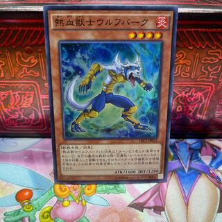 No.545 P屋 Coach Soldier Wolfbark [Sue