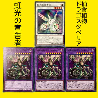Yu-Gi-Oh Herald of the Arc Light Predaplant Dragostapelia x 3