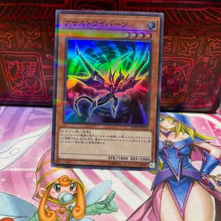 No.566 P屋　アサルトワイバーン 【スー】