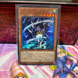 No.568 P屋 Right-Hand Shark