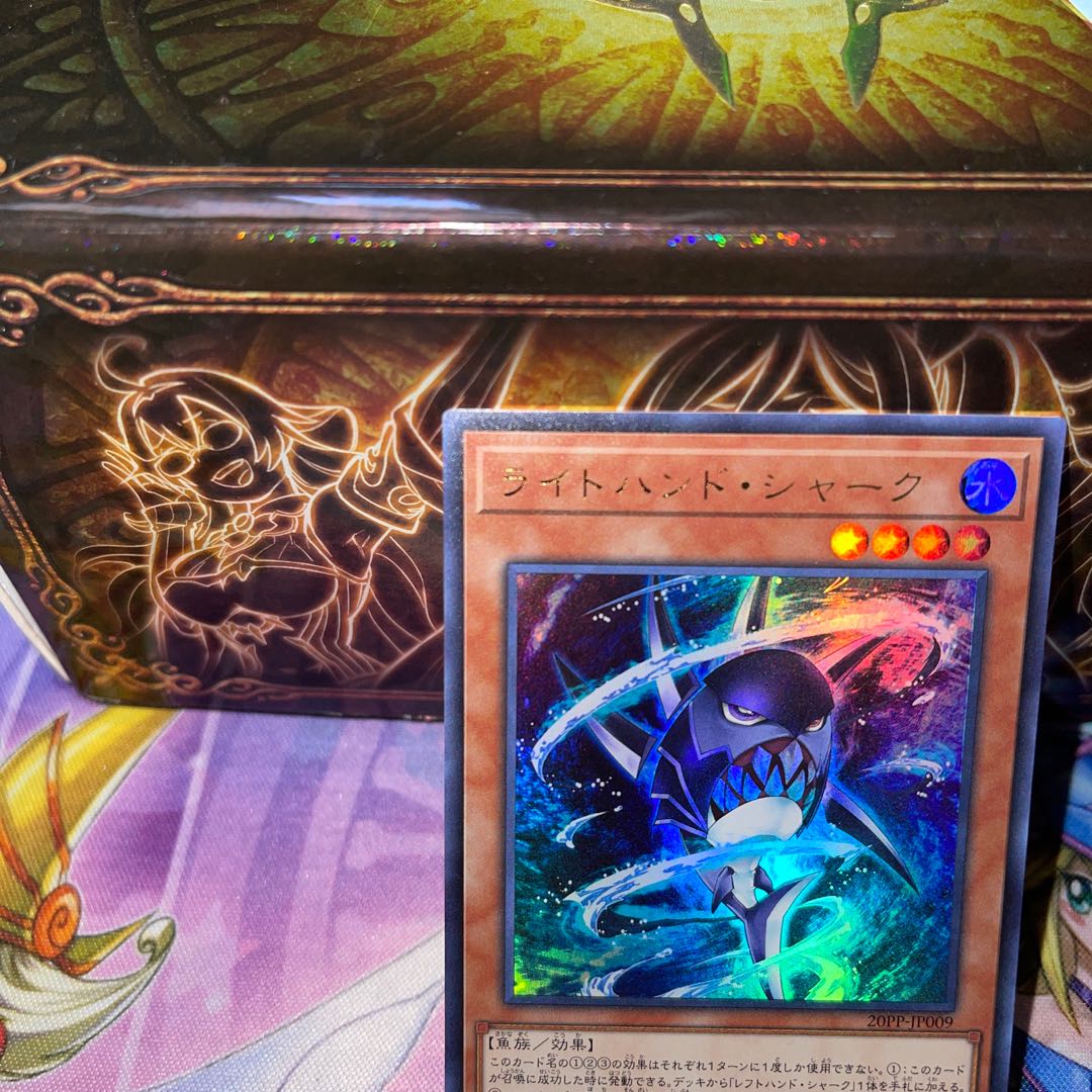 No.568 P屋 Right-Hand Shark