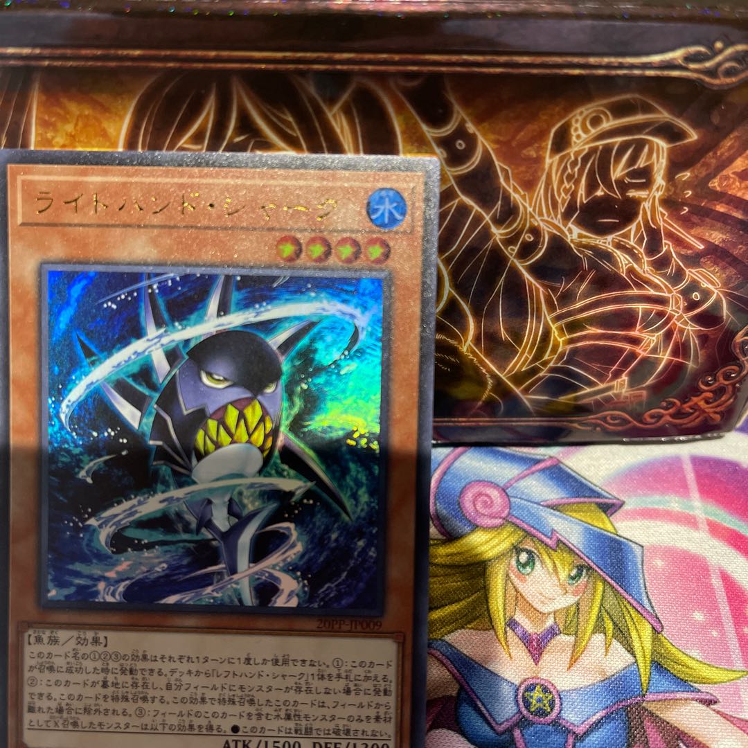 No.568 P屋 Right-Hand Shark