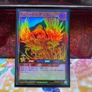 No.597 P shop Phoenix Dragon
