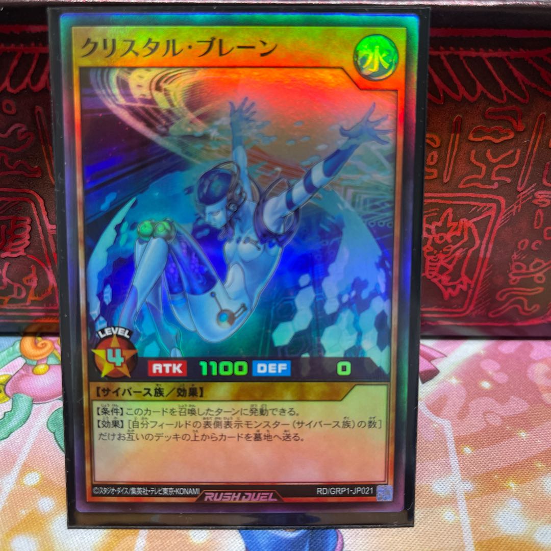 No.600 P shop Ku Squirrel Tal Brain [Sioux