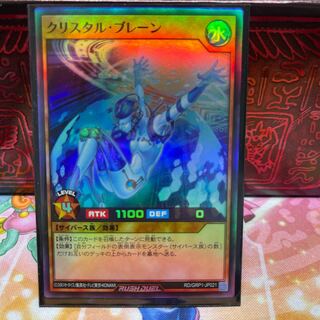 No.600 P shop Ku Squirrel Tal Brain [Sioux