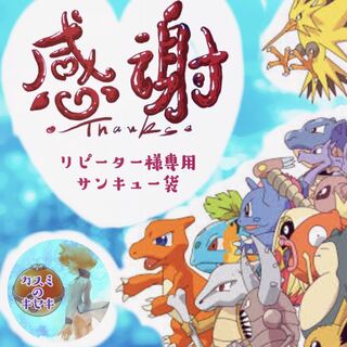 リピーター様専用　サンキュー袋　限定1袋