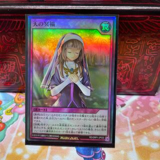 No.606 P Shop Heaven's Blessing [Sue