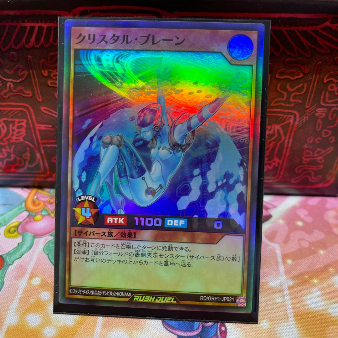 No.607 P Shop Ku Squirrel Tal Brain [Sue