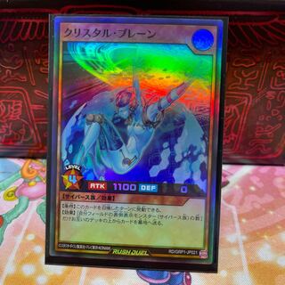 No.607 P Shop Ku Squirrel Tal Brain [Sue