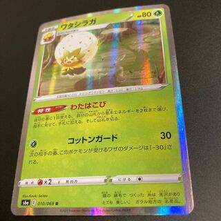 ワタシラガ　R わたはこび　1