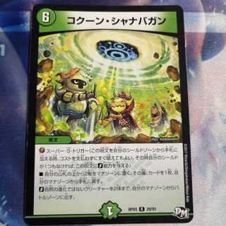 コクーン・シャナバガン
