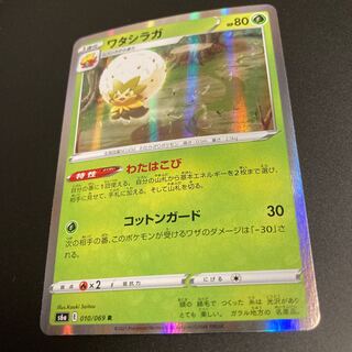 ワタシラガ　R わたはこび　8