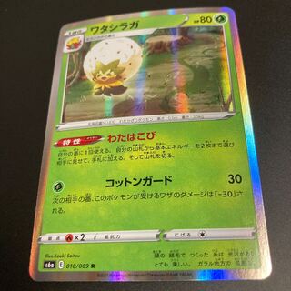 ワタシラガ　R わたはこび　11