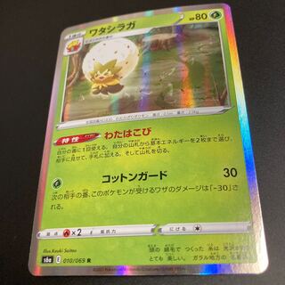 Eldegoss R My hakobi 13