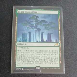 What endures, Mother Sacred Tree