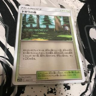 トキワの森 ミラー