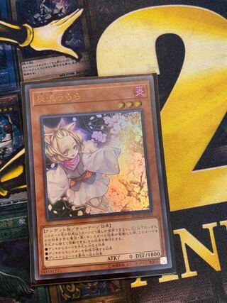 Ash Blossom & Joyous Spring