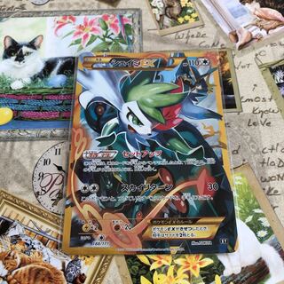 No・ShayminEX☆UR specification