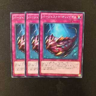 バージェストマ・オレノイデス ノーマル