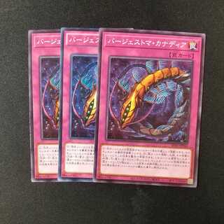 バージェストマ・カナディア ノーマル