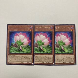 Relinquished D. Lotus Rare PHNI-JP003
