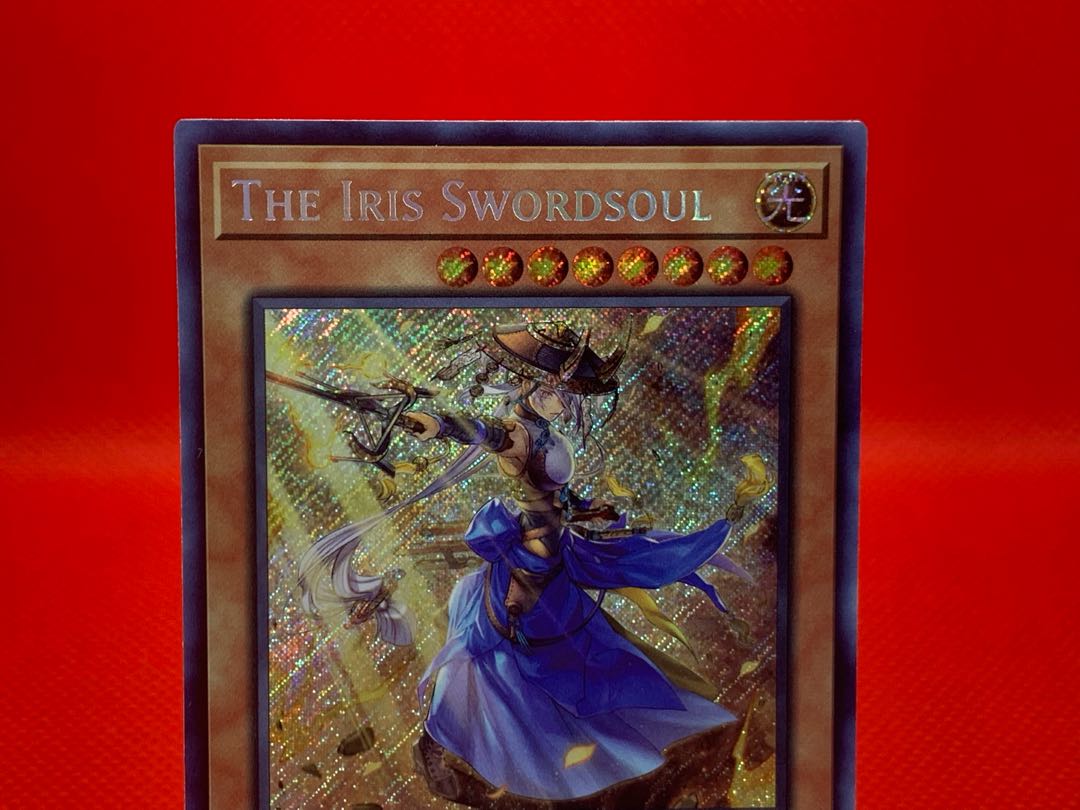 Yu-Gi-Oh English The Iris Swordsoul 1st Secret Rare DAMA-EN009