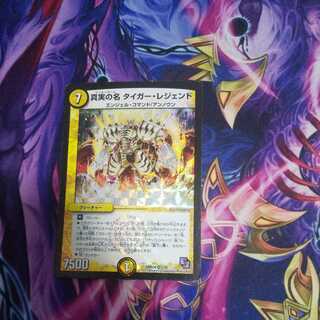 The True Name Tiger Legend VR