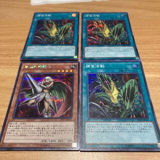 Predapractice Super Rare with Rose Paladin