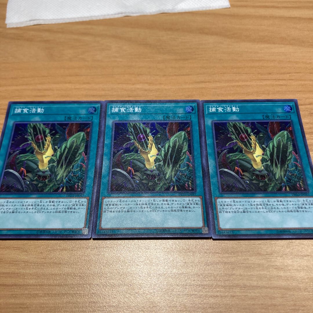 Predapractice Super Rare with Rose Paladin