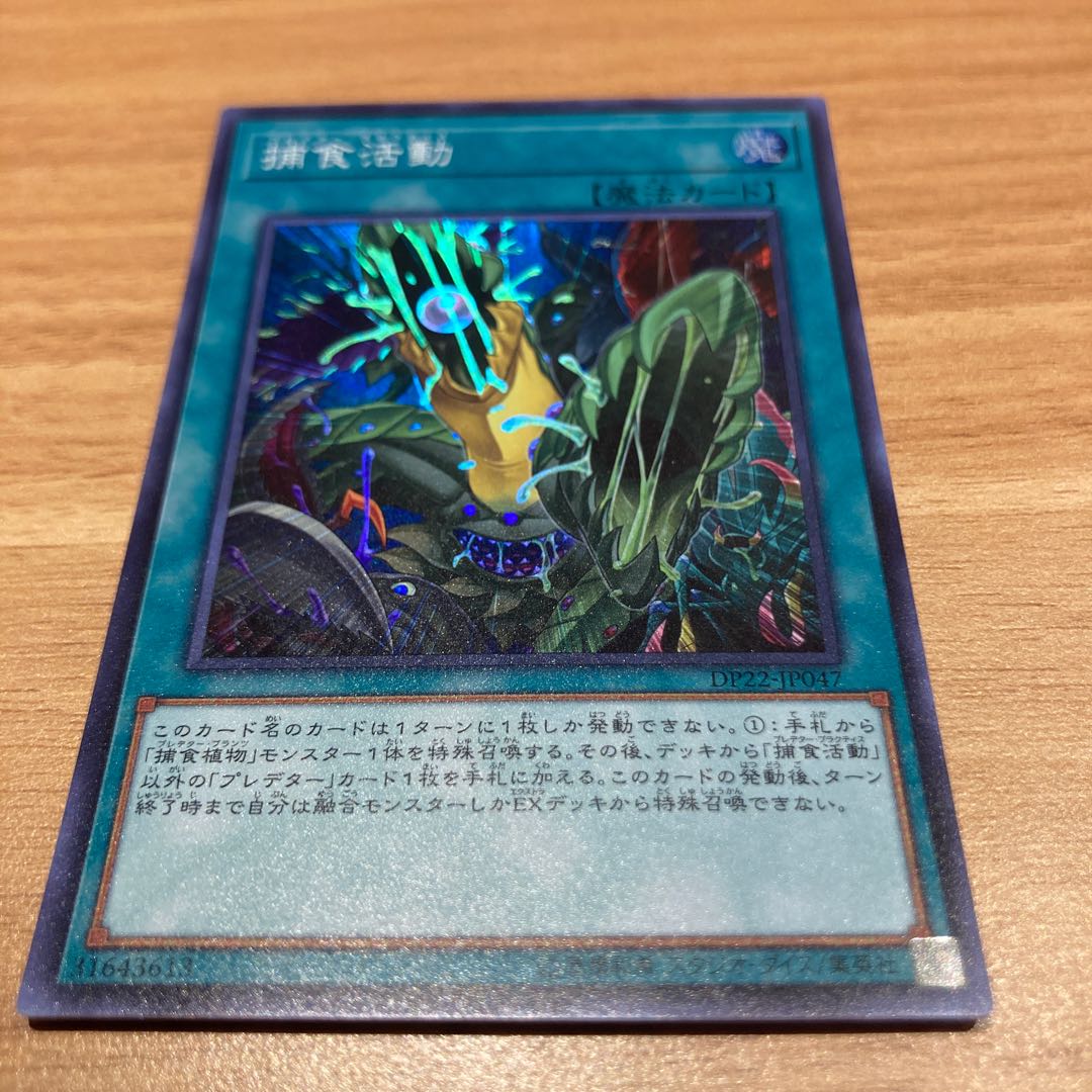 Predapractice Super Rare with Rose Paladin