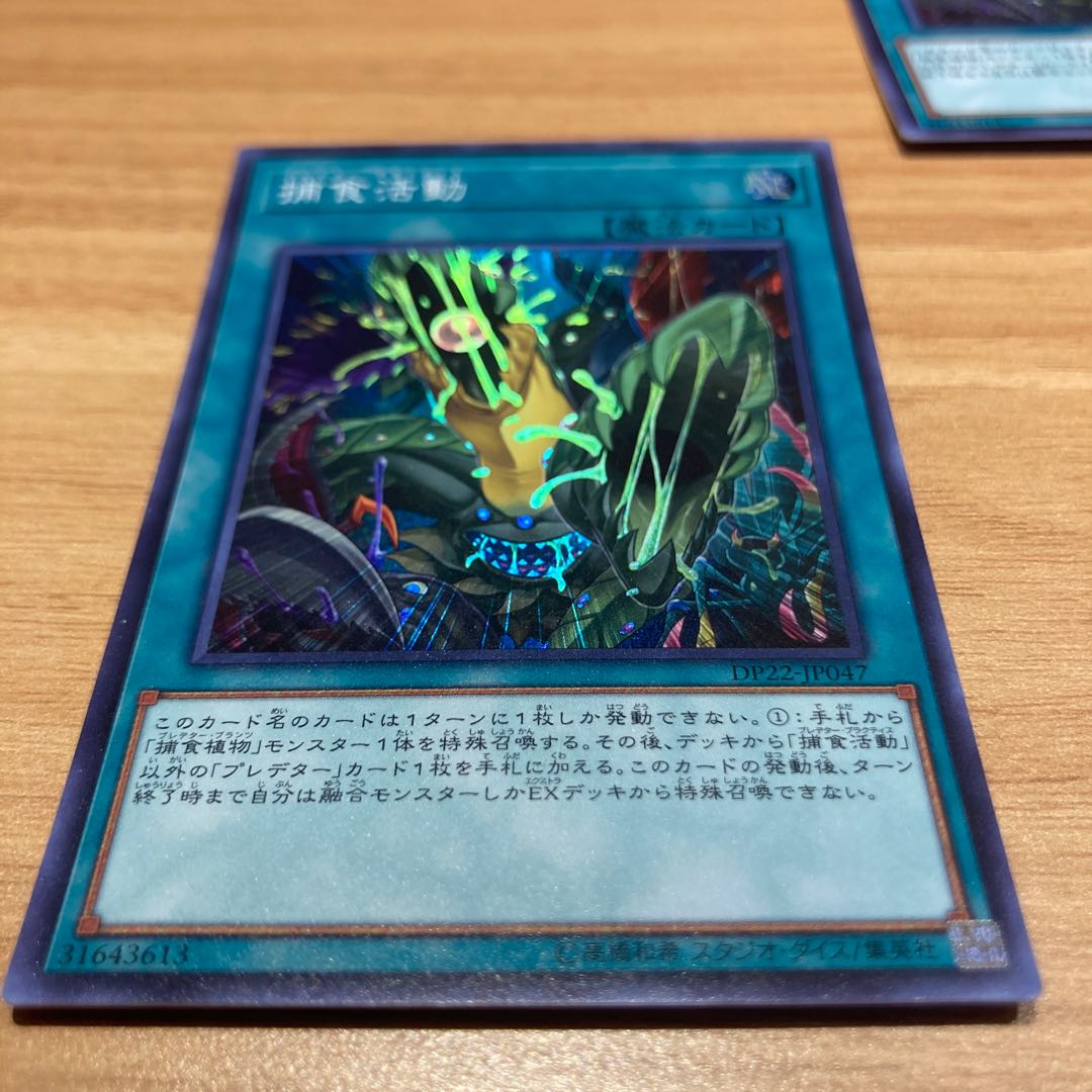 Predapractice Super Rare with Rose Paladin