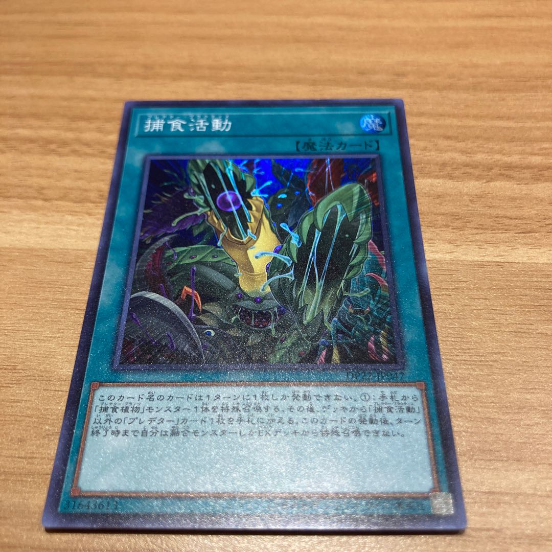 Predapractice Super Rare with Rose Paladin