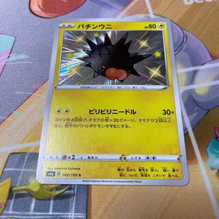 Exclusive for Mr. Cc Pincurchin S 1 (Used) 1059459718| magi -TCG  Marketplace- | magi