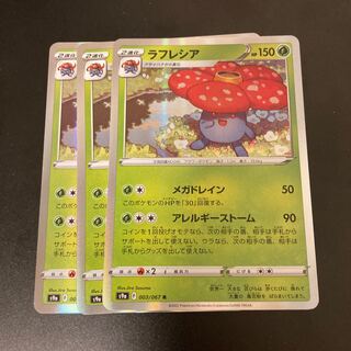 ラフレシア R 3枚