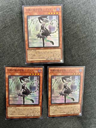 Arianna, the servant of the White Silver Castle