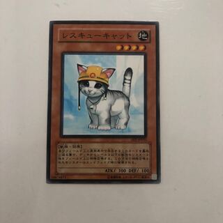 FET-JP033 Rescue Cat