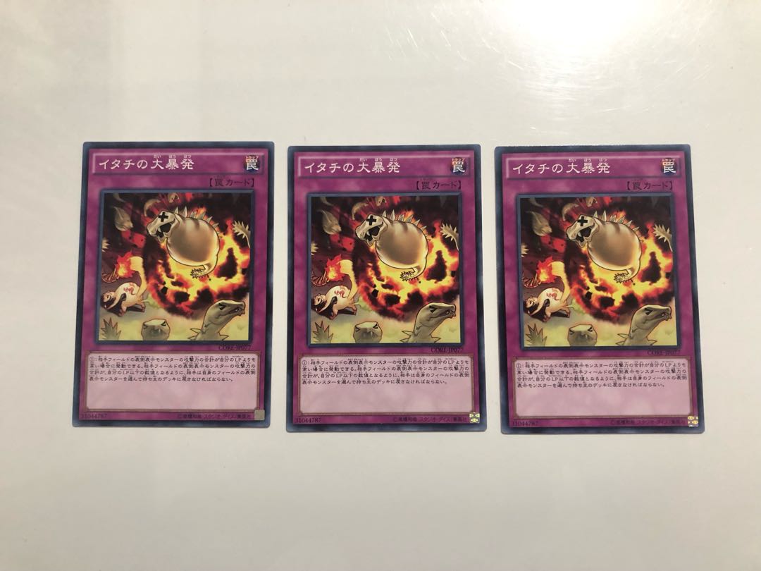 CORE-jp077 Ferret Flames 3 sheets