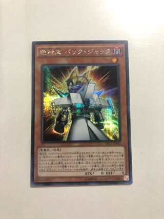 PP17-jp002 Absolute King Back JackSeR