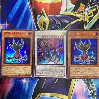 フルール・ド・バロネスセット