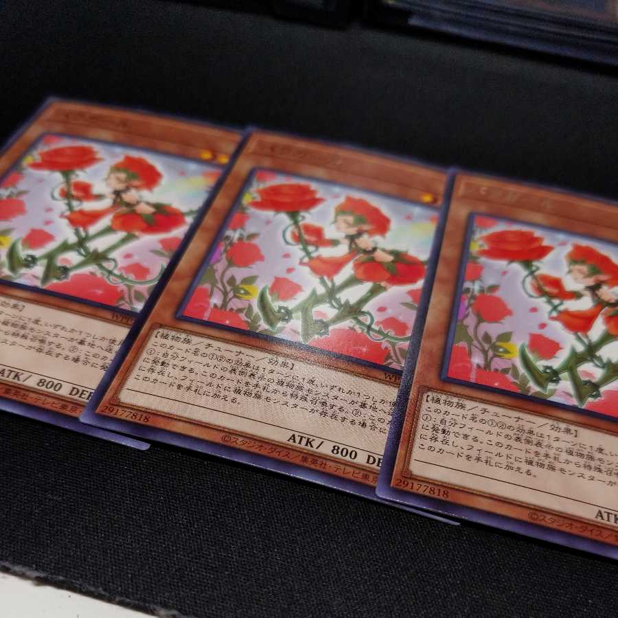 Rose Girl 3-piece set