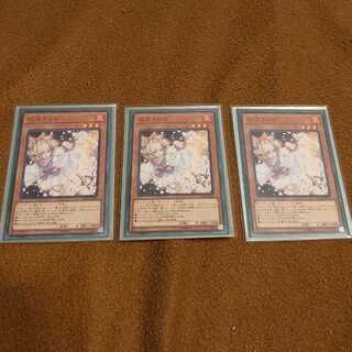 灰流うらら ノーマル 3枚セット