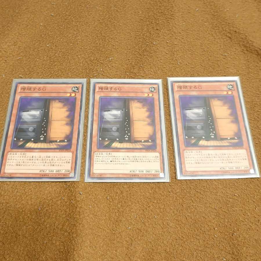 Maxx "C" Normal, set of 3