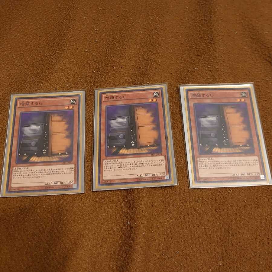 Maxx "C" Normal, set of 3