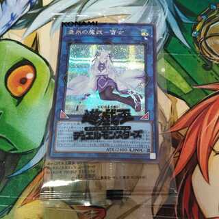 Yu-Gi-Oh!] Yuki Onna (Unopened)