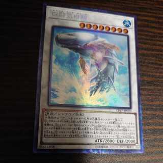 White Aura Whale Collector's Rare