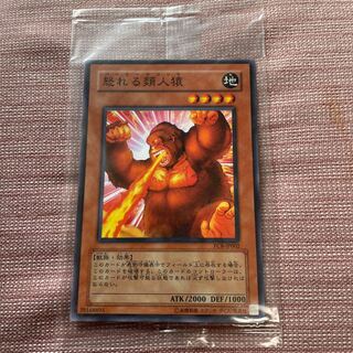 【プロモ、未開封】怒れる類人猿