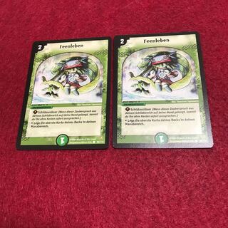 専用 フェアリーライフ二枚