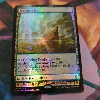 Breeding Pool EXP FOIL
