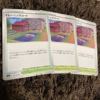 Training Court {180/190} {069/070} 3