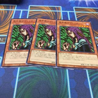 Witch of the Black Forest Normal